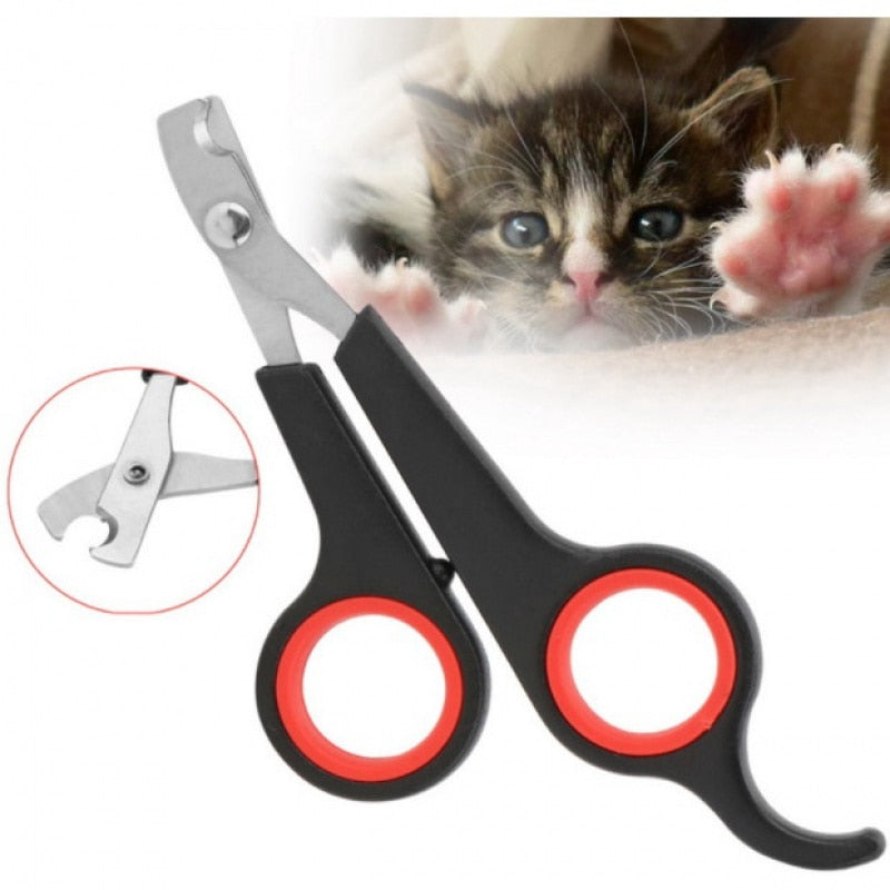 Tesoura de unha para pets. - Llys Store